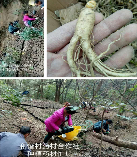 微信图片_20200319144435.png